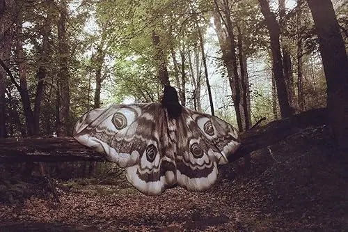 LunaVera™ Wingscape — Unleash Your Inner Magic and Captivate Every Eye