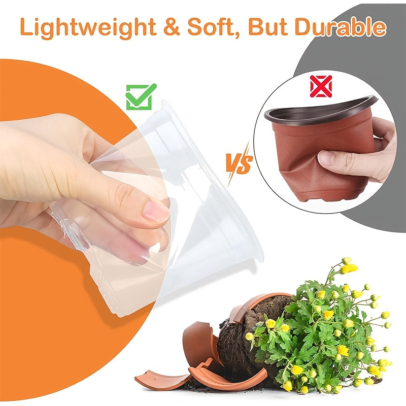 ROOTVIEW GARDEN SET – Clear Pots for Effortless Root Observation