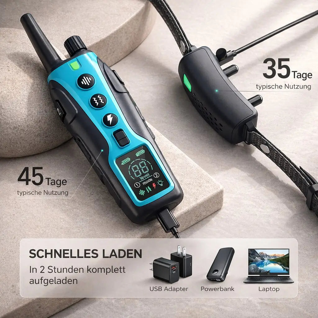 Smart Control Dog Training Collar with Remote