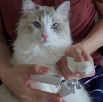 PawZen™ — Trim Fearlessly with Calm Precision and Happy Paws Every Time