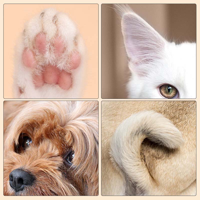 PawsPure™ — Effortlessly Keep Your Pet’s Paws Healthy, Clean, and Happy Every Day