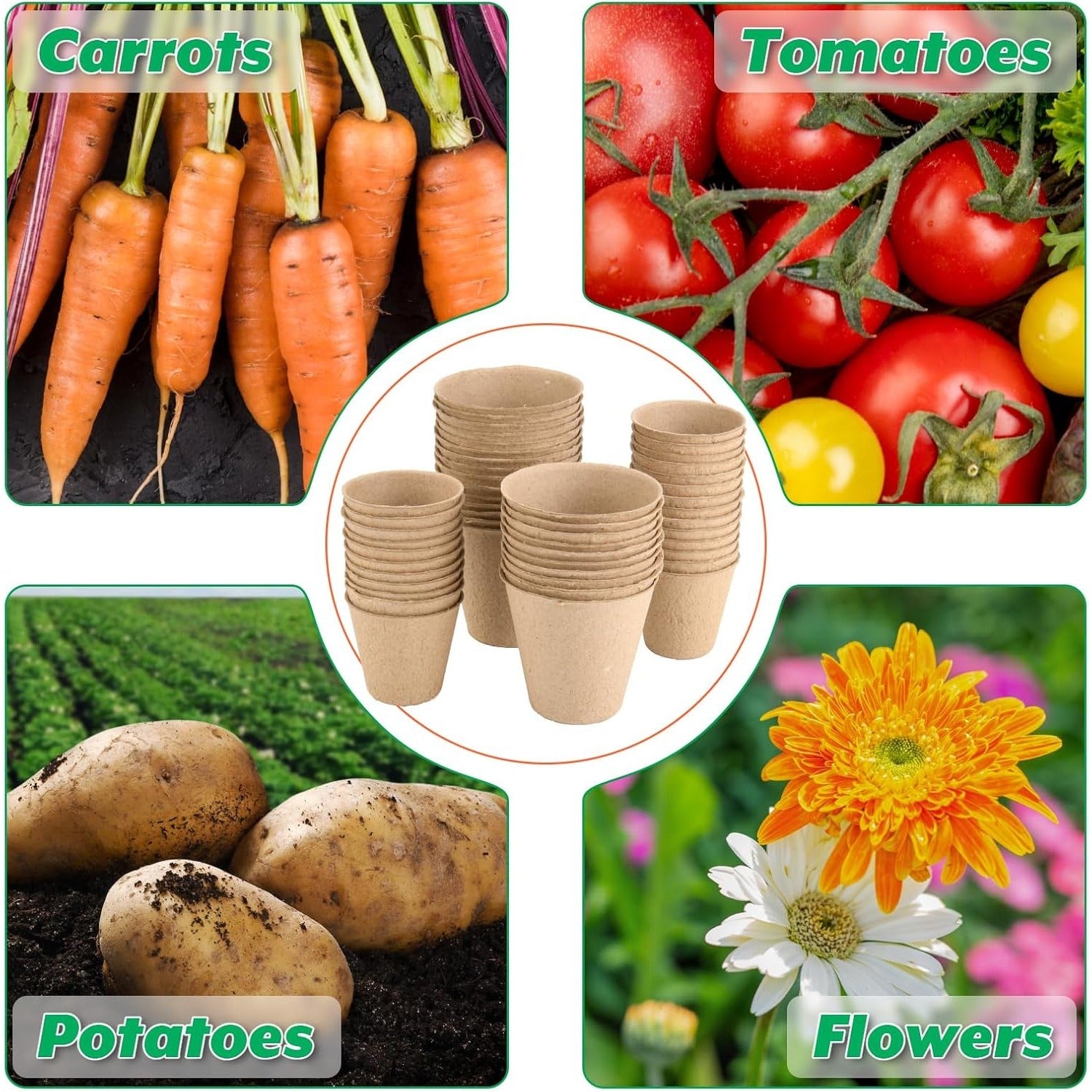 EcoGrow Pots – Sustainable Seedling Starters for Easy Planting