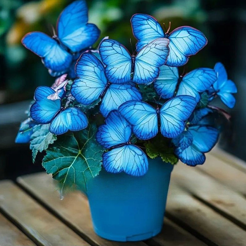 VividFlair™ Butterfly Bloom Seeds — Turn Your Garden Into a Dazzling Butterfly Wonderland That Steals Every Heart