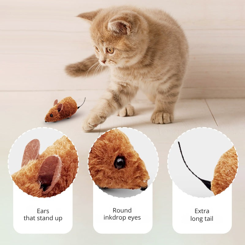 VitaRod™ — Unleash Your Cat’s Wild Energy for Limitless Playful Adventures