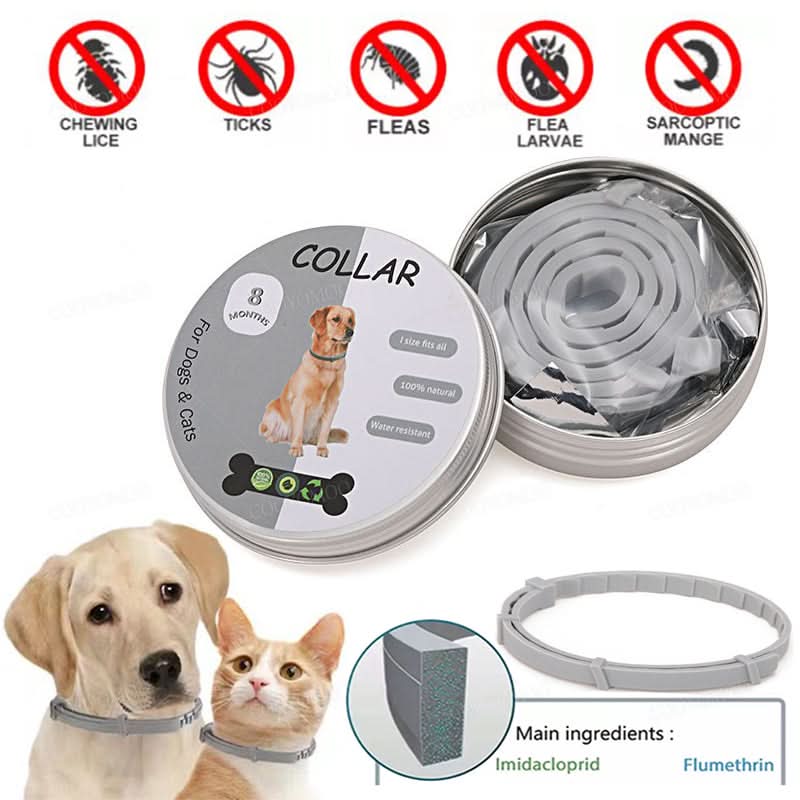 Ultimate Pest Defense Collar for Cats and Dogs
