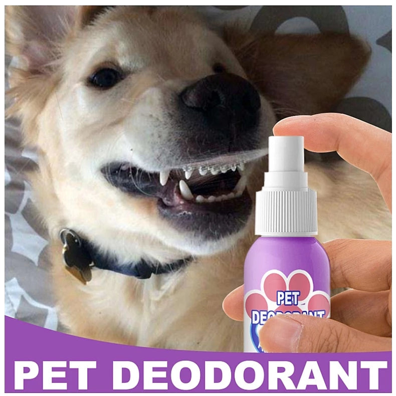 BreathEase™ — Unlock Heartwarming Snuggles with Fresh, Confident Pet Breath