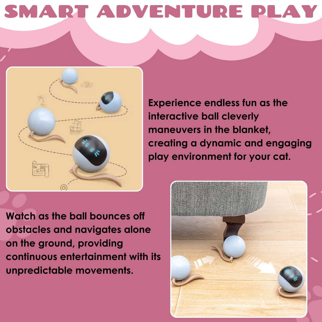 ProwlPulse™ — Unleash Your Cat’s Wild Instincts for Endless Thrills and Joy