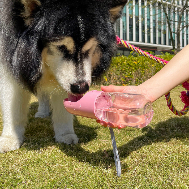 Portable Pet Water Bottle with Snack Compartment and Waste Bag Holder