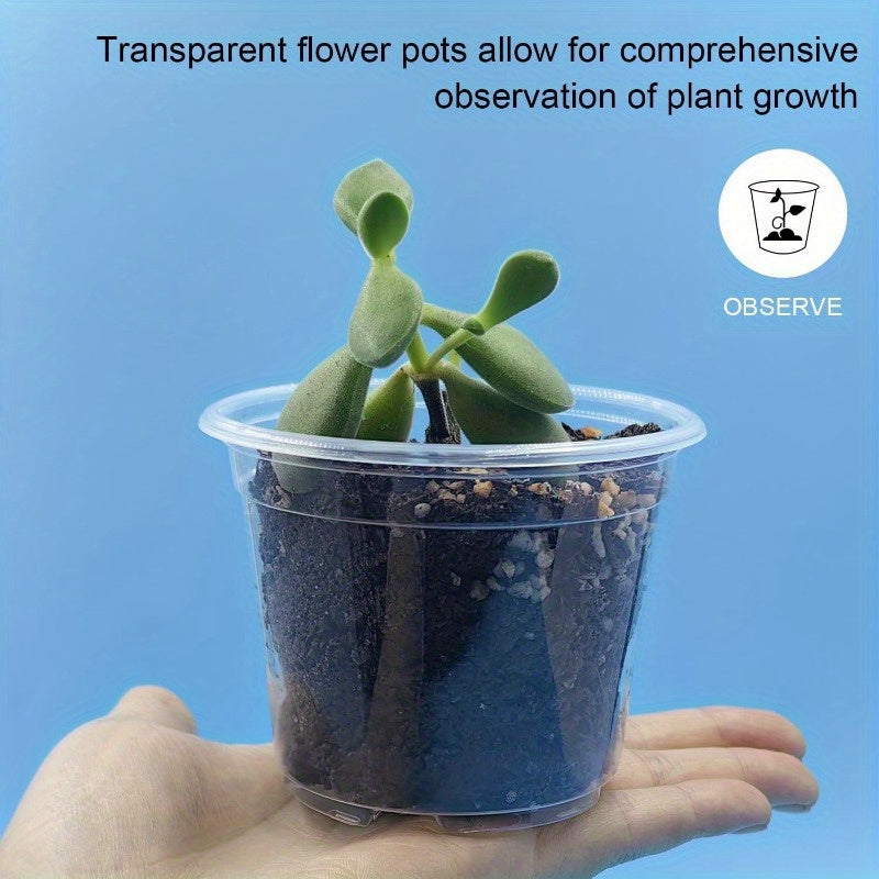 ClearGrow Pack – 20 Count See-Through Nursery Pots for Root Observation