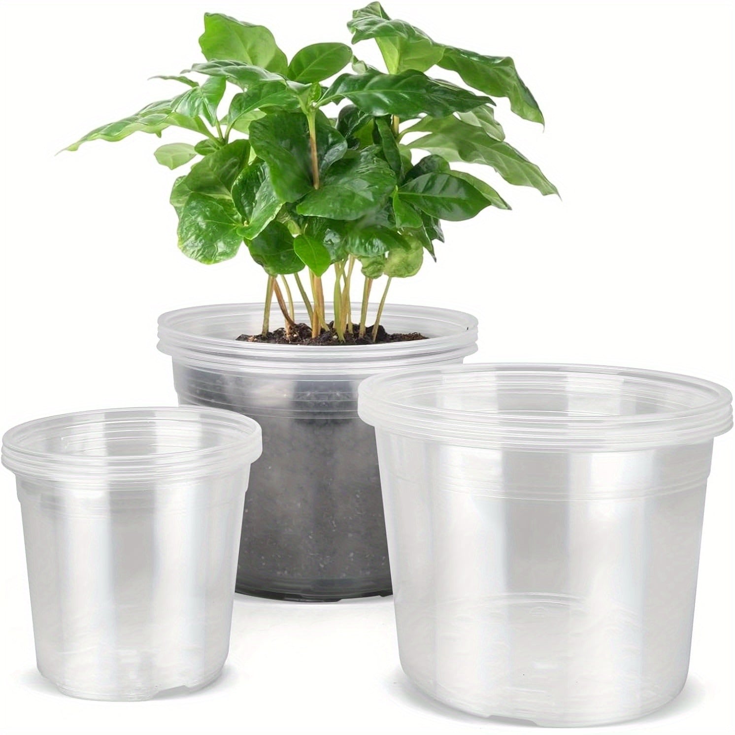 ROOTVIEW GARDEN SET – Clear Pots for Effortless Root Observation