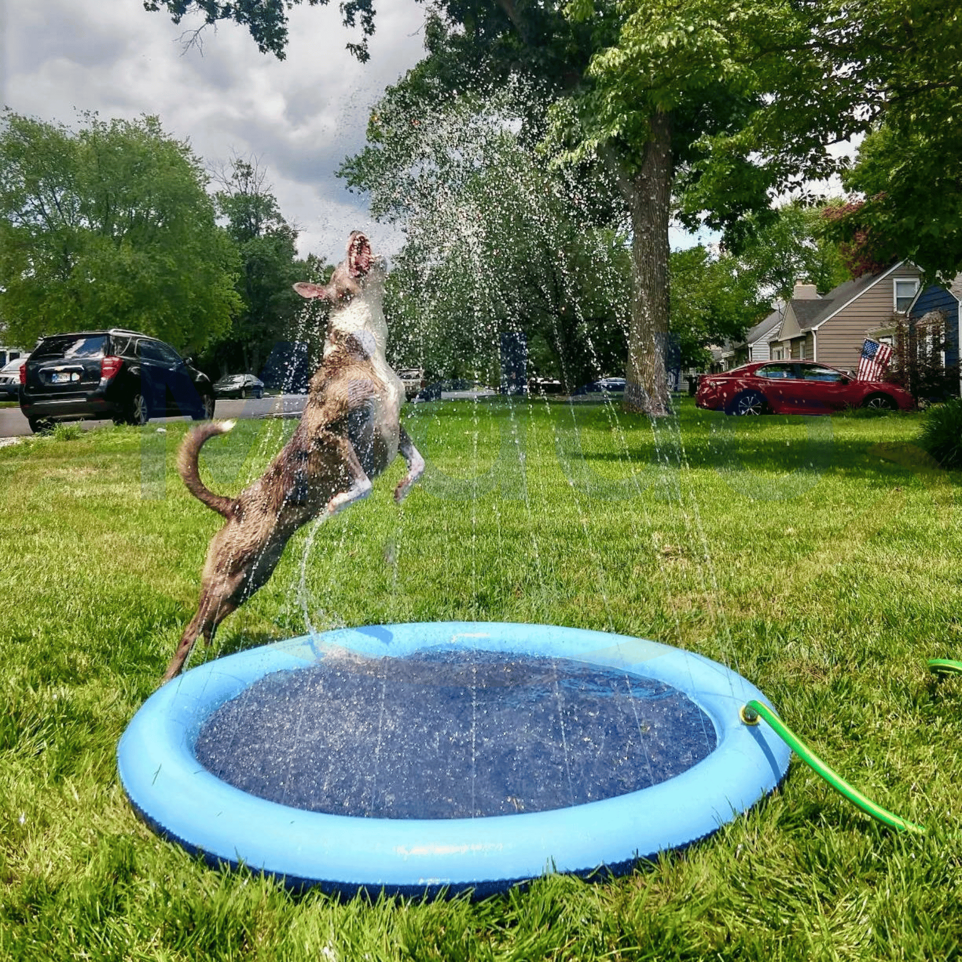 HydraSplash™ — Instantly Ignite Endless Backyard Joy for Kids and Pets