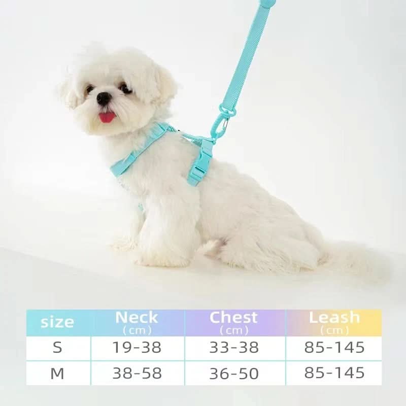 Reflective Pet Leash and Harness Set