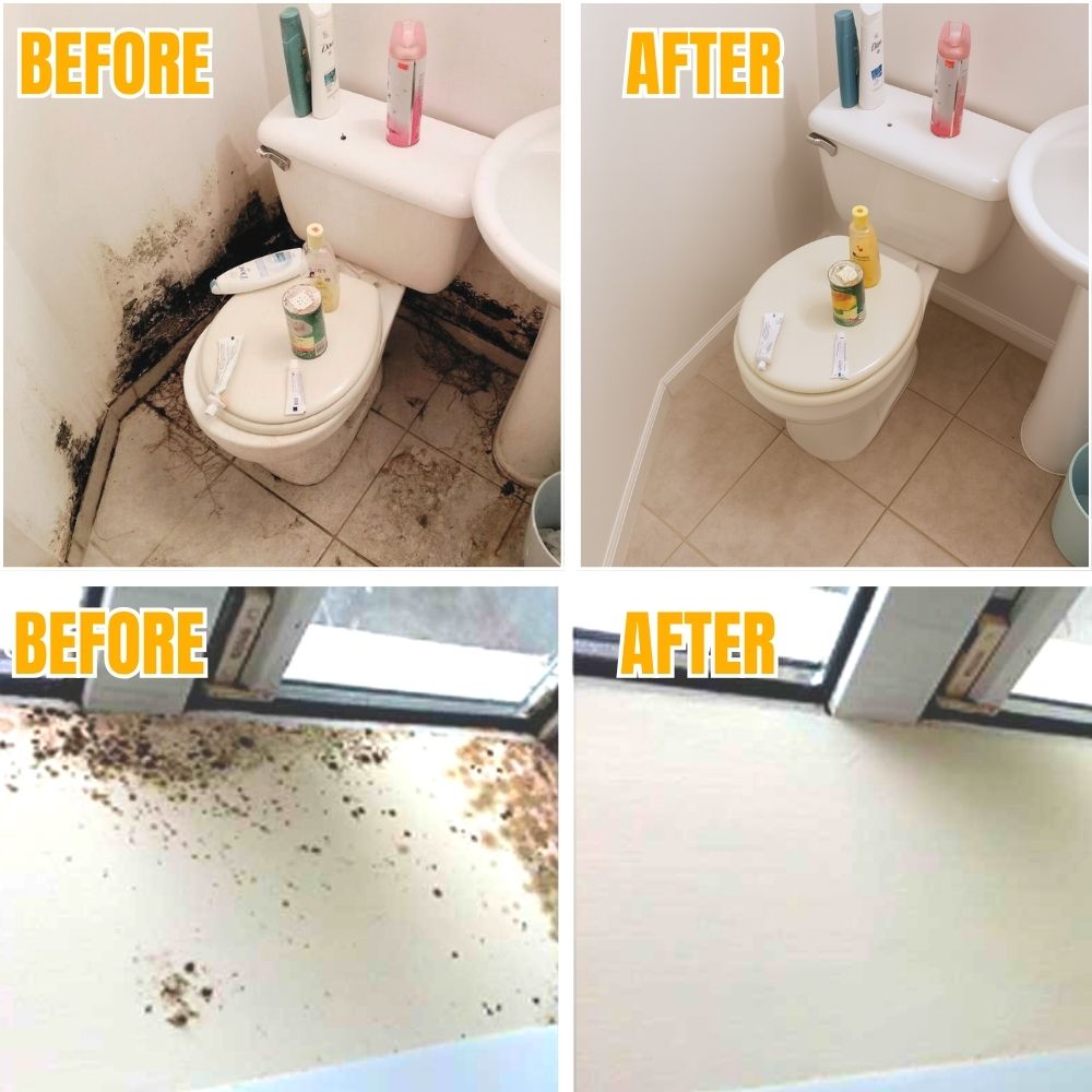 MoldBan™ — Watch Mold Disappear Fast for a Fresher, Safer Home You Love