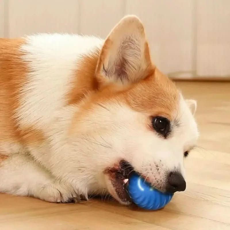 Interactive Auto-Motion Ball for Energetic Dogs