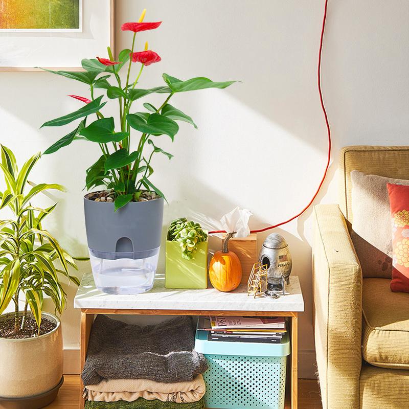 Flower Planter | Self-Watering | Pure Water Flow | AquaWick