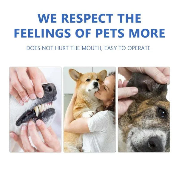 SofTouch™ — Effortless Minty Freshness That Brings You Closer to Your Pet