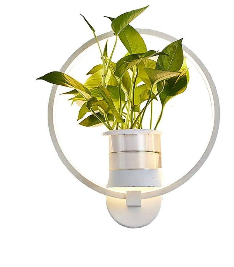 Wall Lamp with Botanical Theme