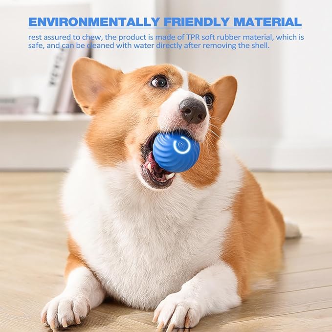ChaseSpark™ — Ignite Your Dog’s Wild Instinct for Endless Play and Pure Joy
