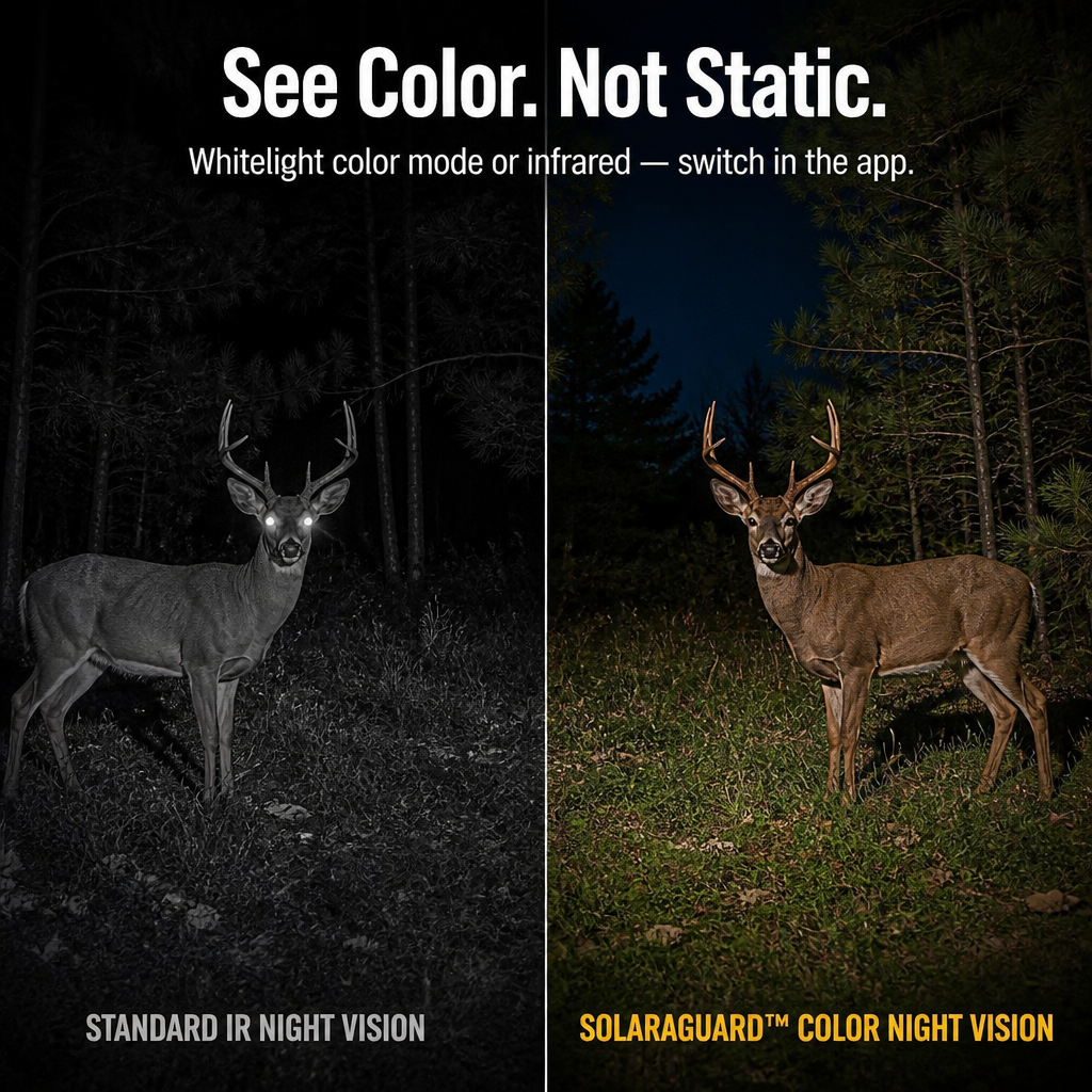 SolaraGuard™ — Monitor Your Land Around the Clock Without Batteries or Wires