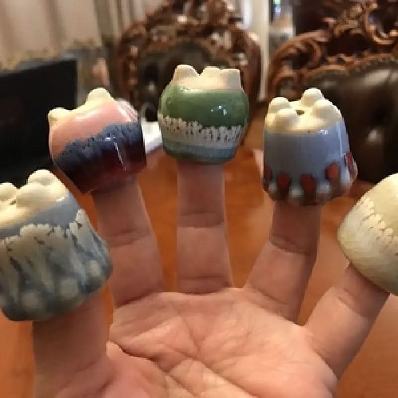 Mini Succulent Pot Set in Ceramic Material