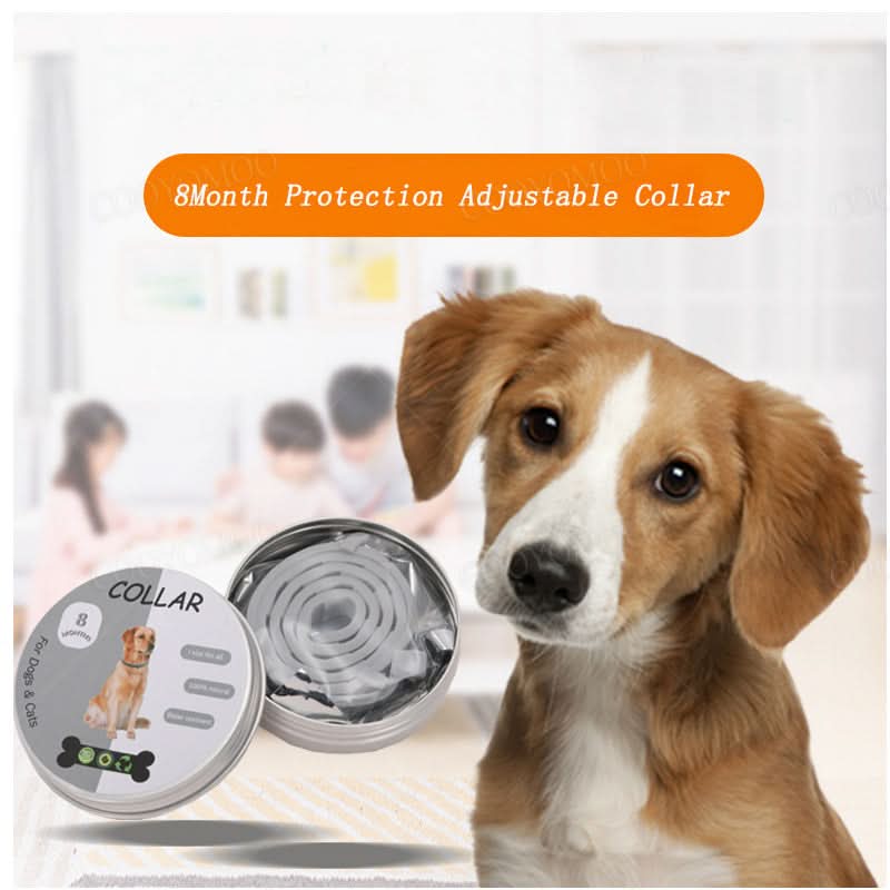 Ultimate Pest Defense Collar for Cats and Dogs
