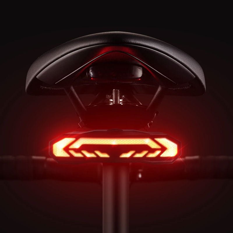 Enhanced Bicycle Tail Light with Security Alarm System