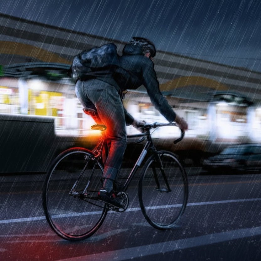 Enhanced Bicycle Tail Light with Security Alarm System