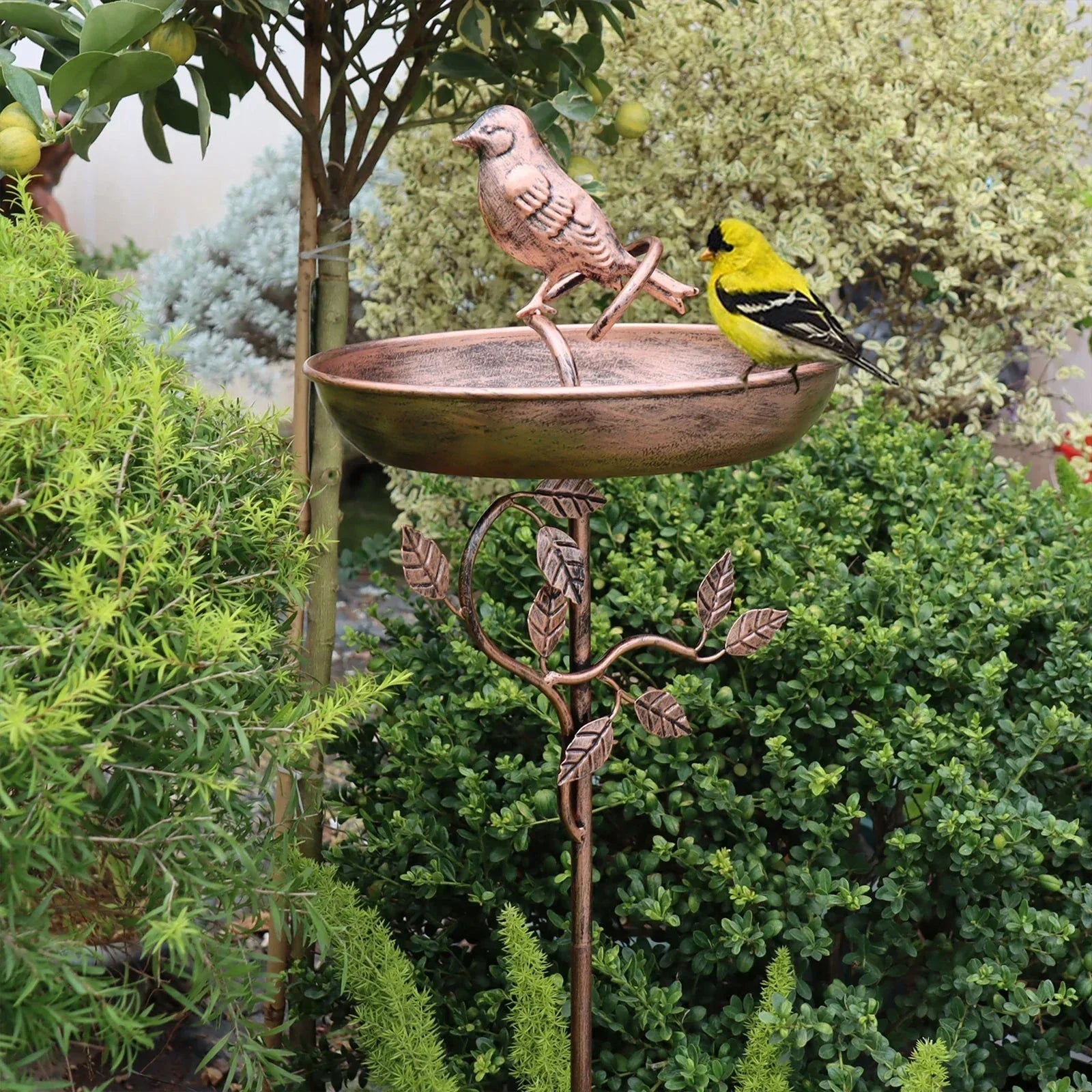 Garden Bird Water Bowl | Decorative Basin | Stable Spike | GardenShine