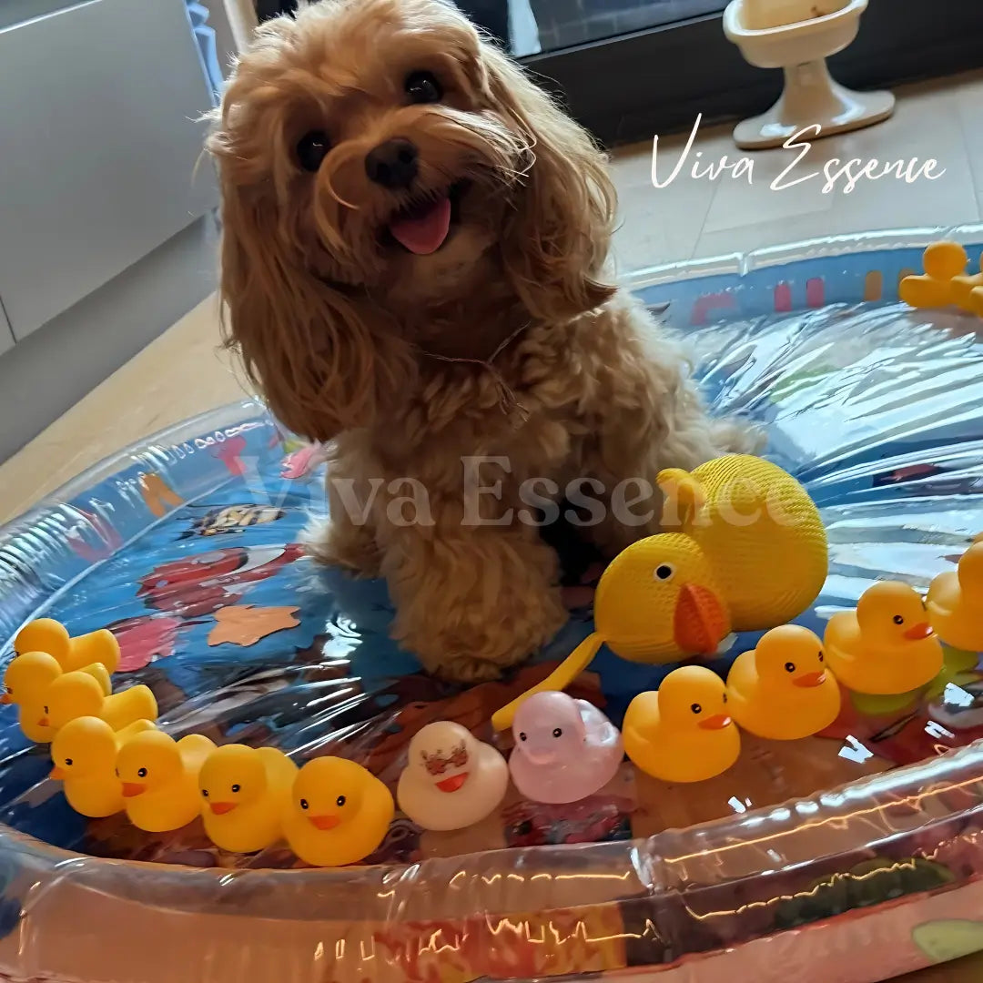 AquaRest™ — Instantly Soothes Joint Pain and Cools Your Pet for Endless Playfulness