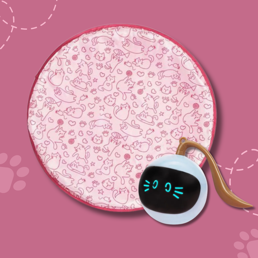 ProwlPulse™ — Unleash Your Cat’s Wild Instincts and Boundless Joy