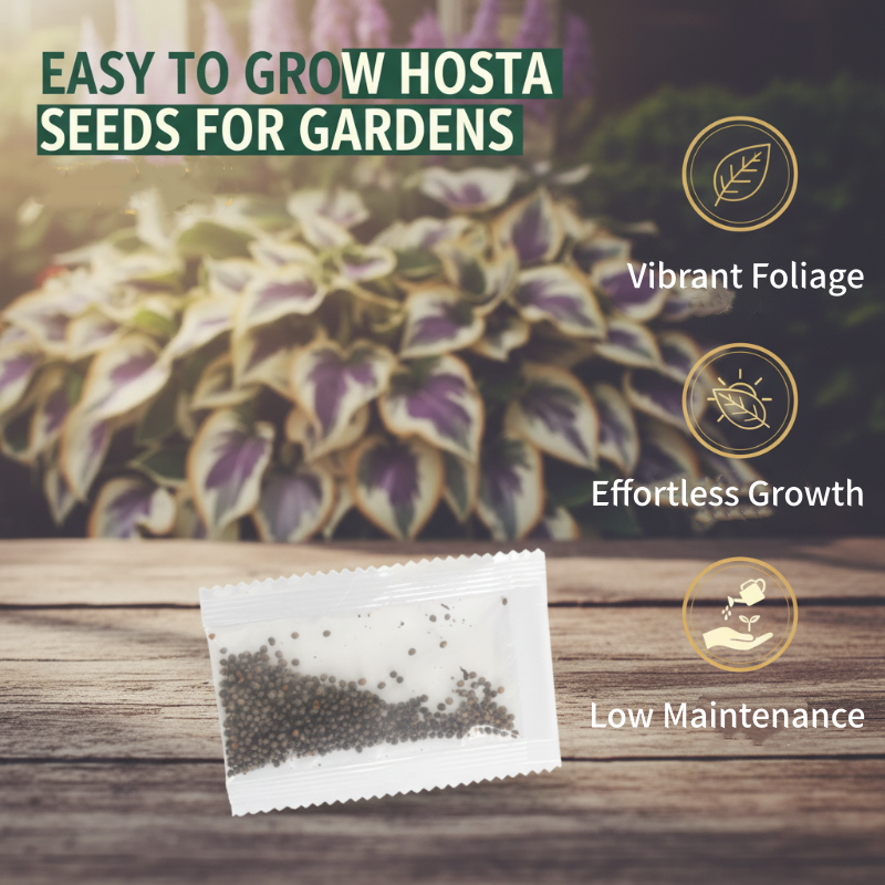 ShadeLuxe™ Variegated Hostas — Turn Shady Spots into a Colorful, Pollinator-Powered Paradise
