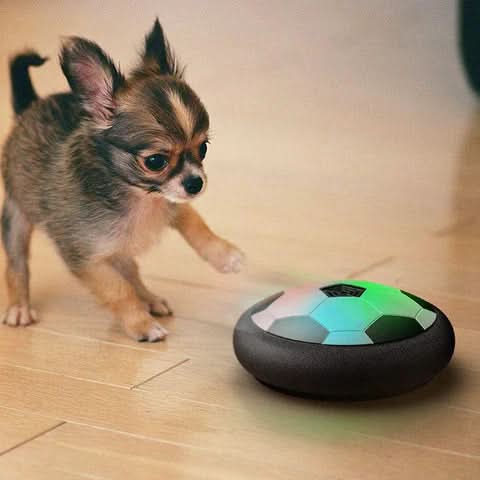 Dynamic Canine Play Ball with Randomized Movements