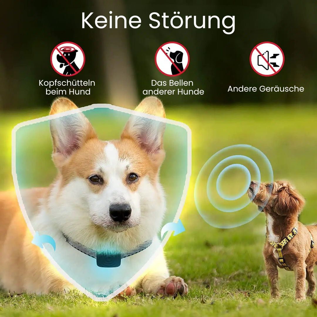 CalmCanine Collar | Gentle Bark Control Device for Dogs
