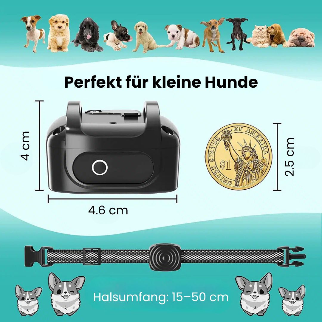 CalmCanine Collar | Gentle Bark Control Device for Dogs