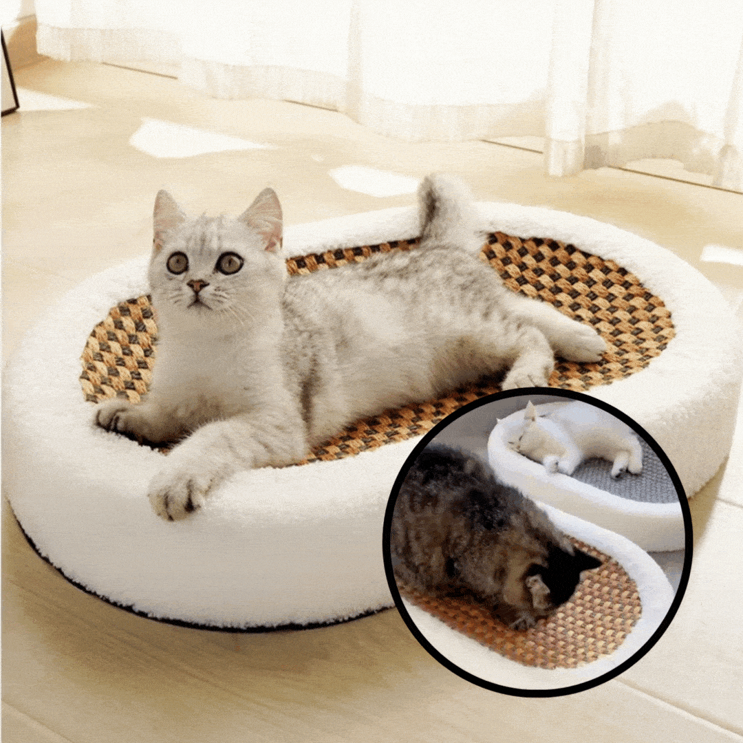 Cozy Cat Lounge with Scratch Pad | Elegant Cat Furniture