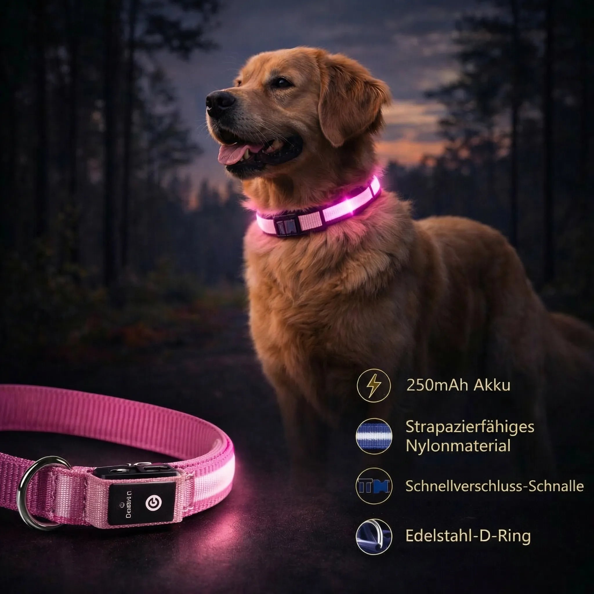 Illuminate Your Dog's Safety with the BrightBark LED Collar