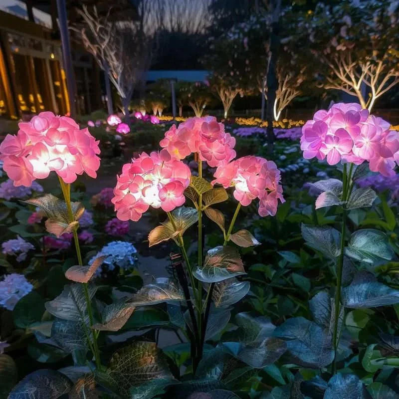 Elegant Outdoor Hydrangea Decor for a Radiant Ambiance