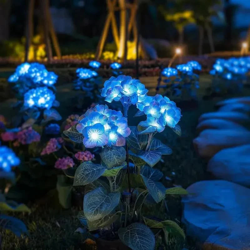 Elegant Outdoor Hydrangea Decor for a Radiant Ambiance