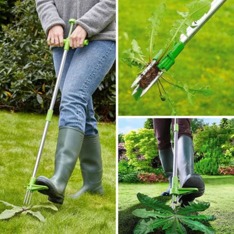Effortless Weed Extraction Tool for Your Garden