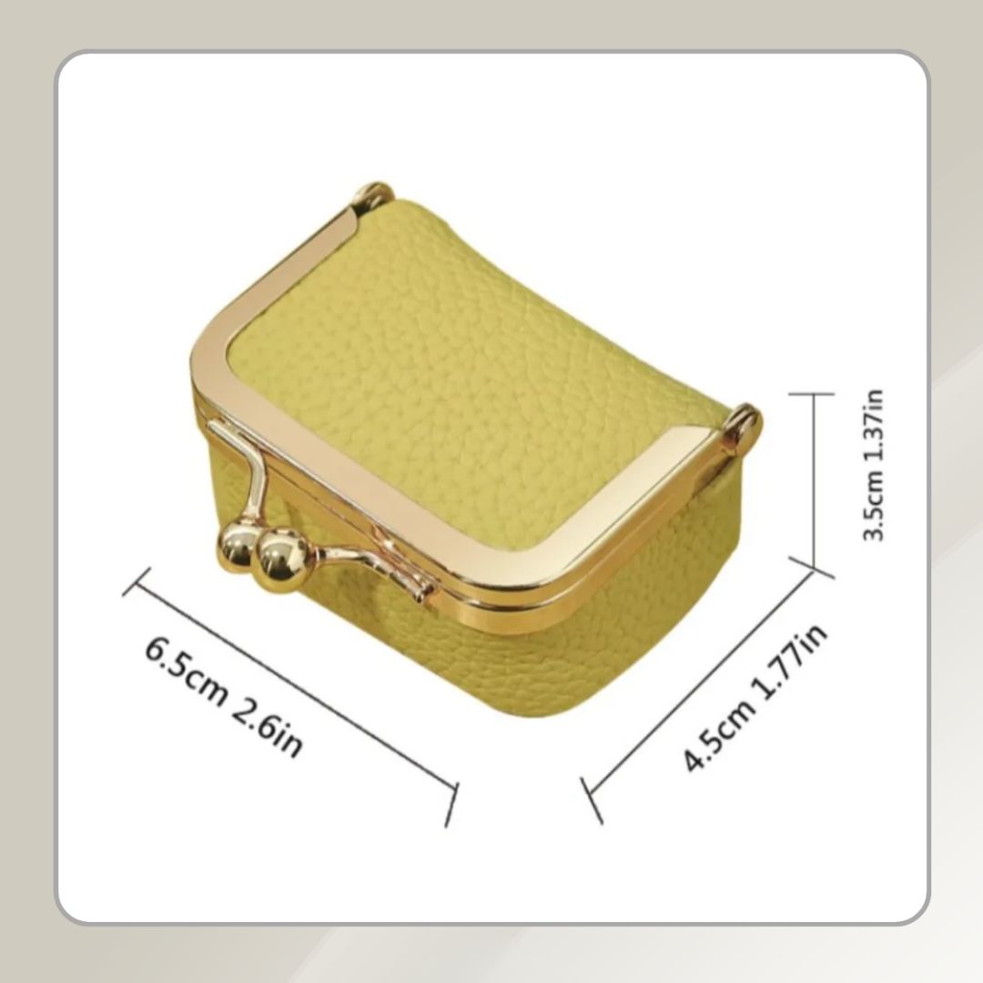 Travel Jewelry Organizer | Compact Case with Dividers | GemGuard