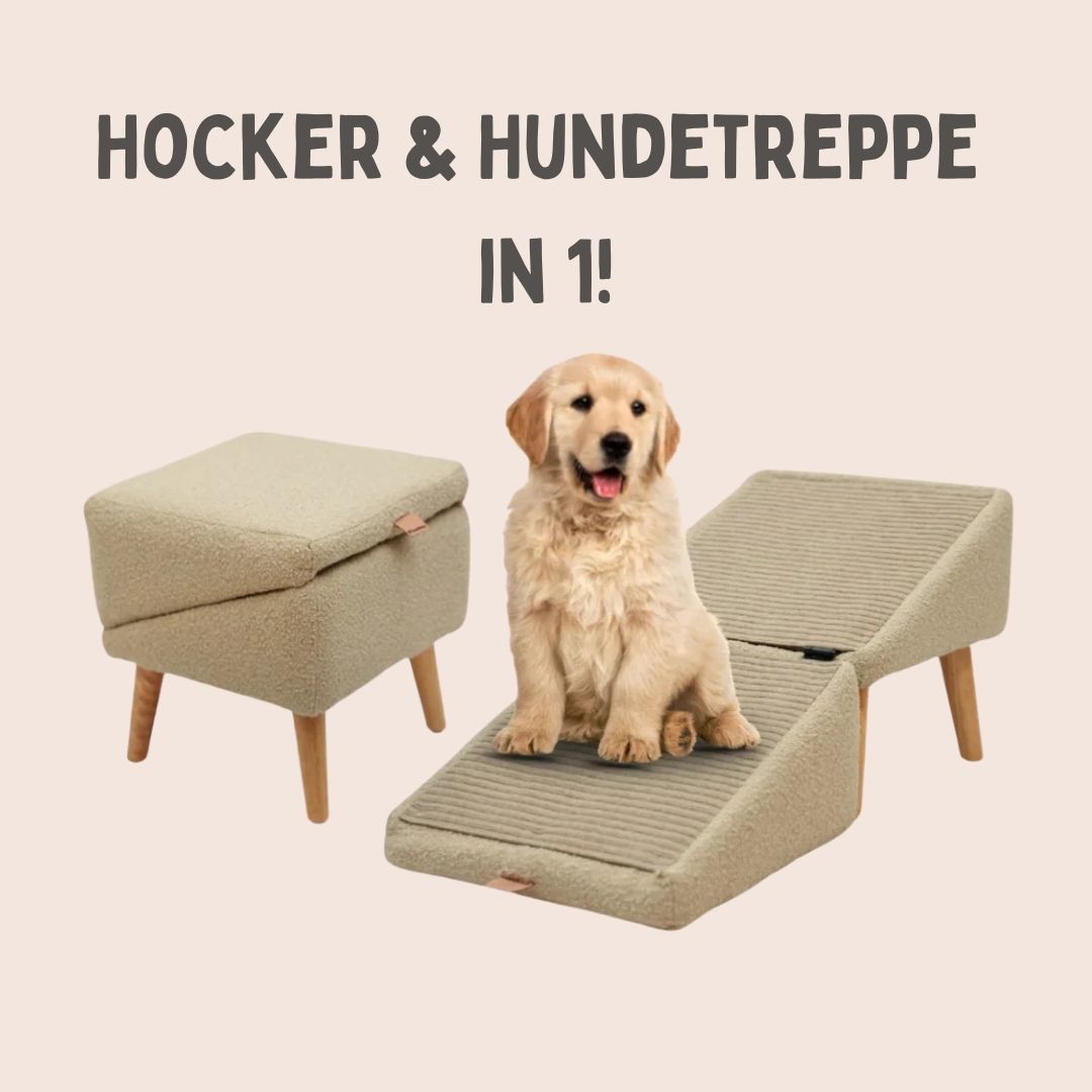 PetStep Ramp & Stool for Beds and Sofas | Easy Access for Pets