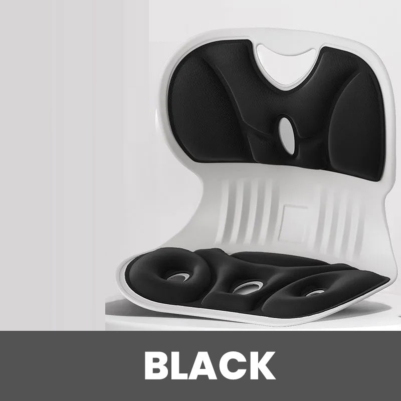 Ergonomic Comfort Cushion for Office Chairs | BackEasePro