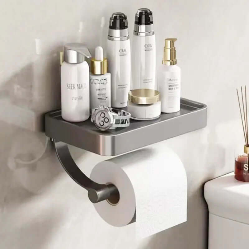 Stainless Steel Toilet Paper Holder with Storage Shelf