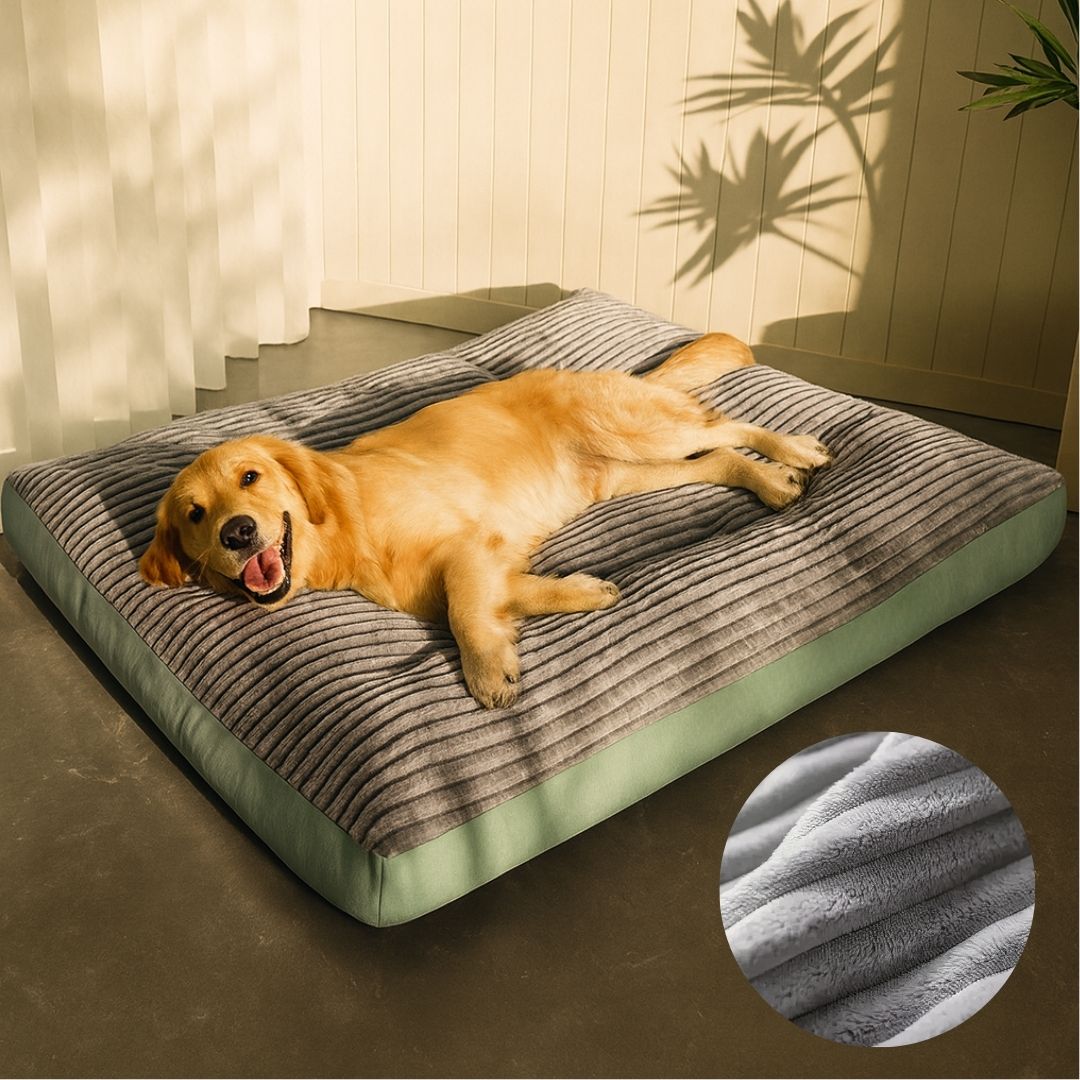 ComfortNest Orthopedic Dog Bed for All Breeds