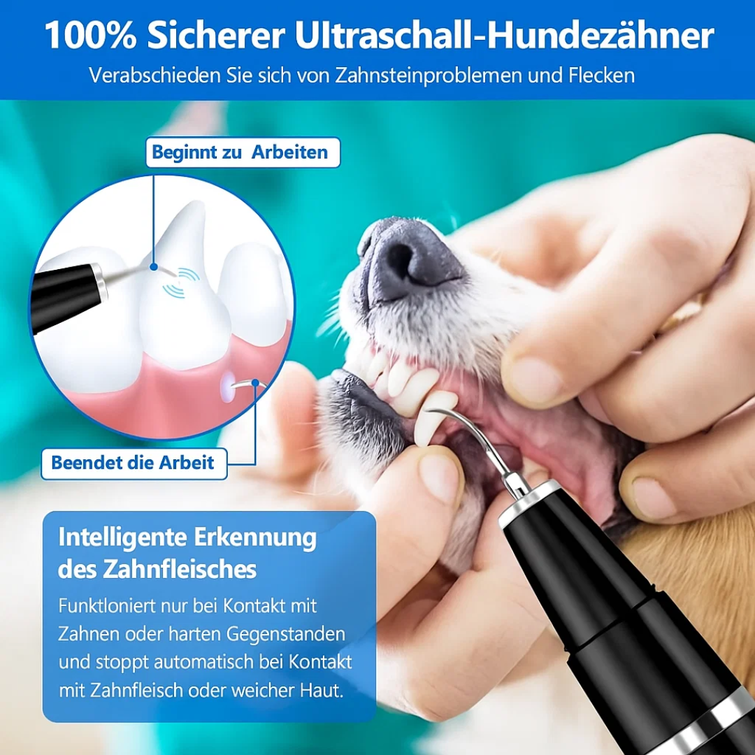 Gentle Pet Dental Care Tool | Tartar Remover for Dogs and Cats