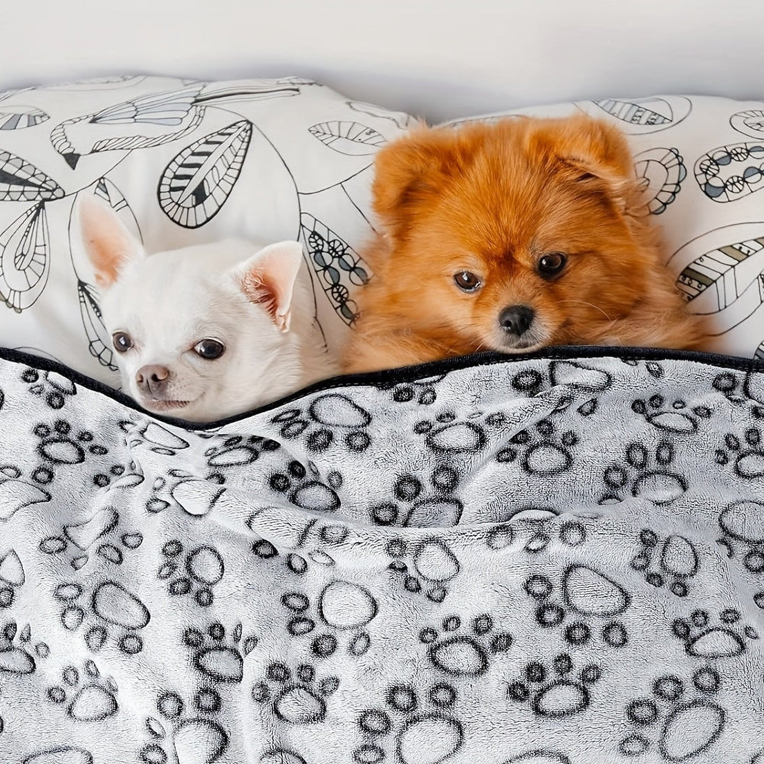 PawComfort - Washable Blanket for Ultimate Coziness