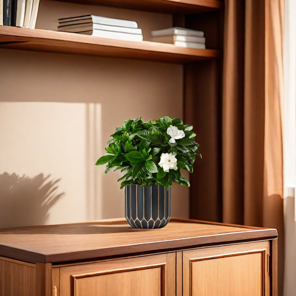 SleekScape Planter – Stylish Minimalist Indoor Pot for Any Space