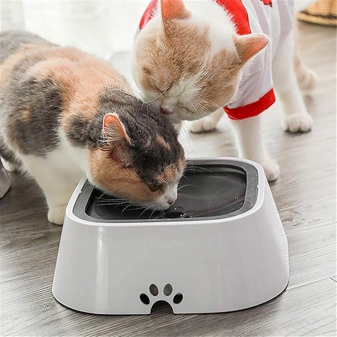 HydrWell™ — Keep Floors Dry and Your Pup Calm with Splash-Free Sipping