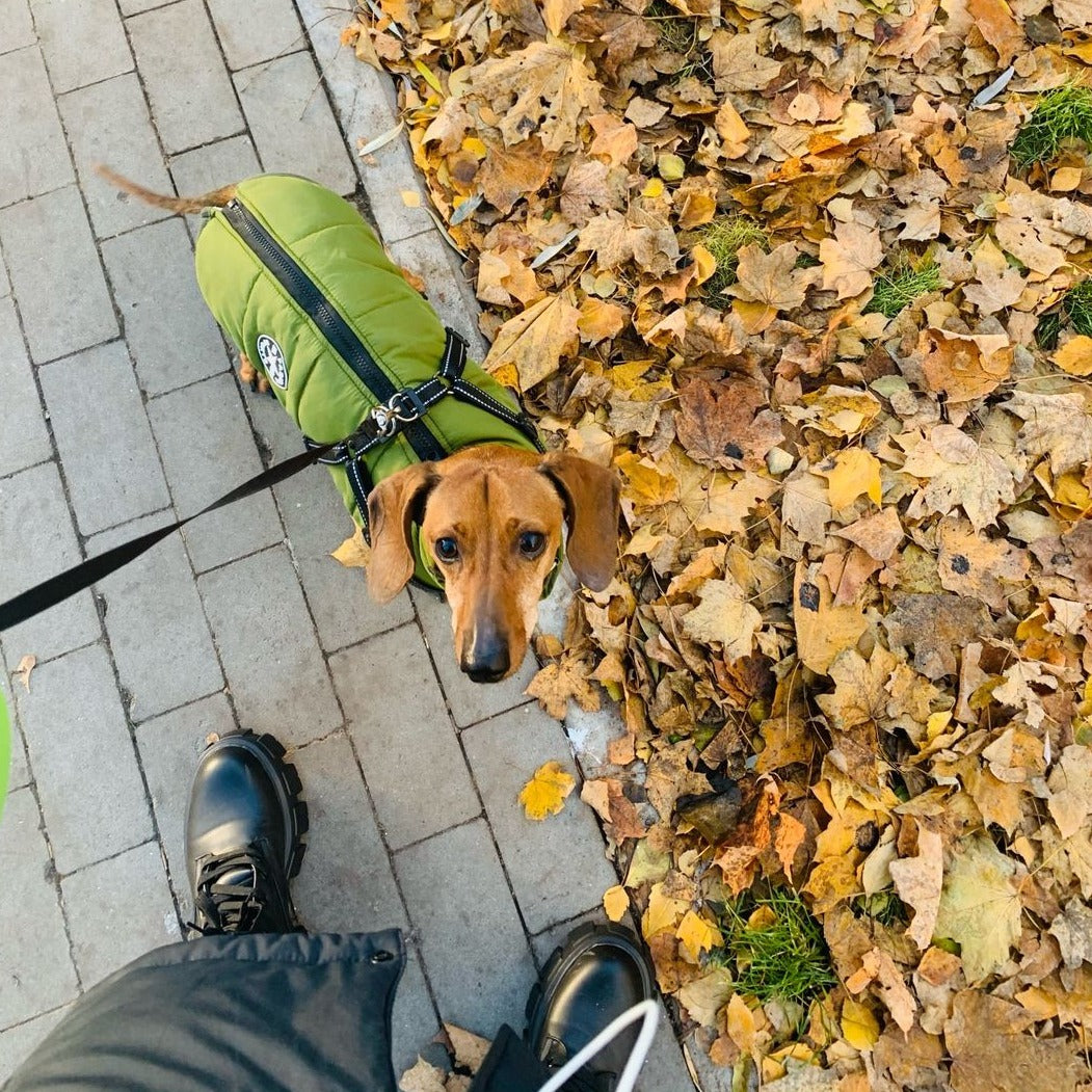 VetraGuard™ — Block Wind, Rain & Cold While Clipping Your Leash in One Move