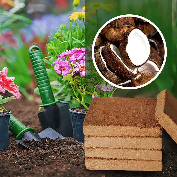 TerraBurst™ Organic Coconut Coir — Unlock Lush, Flourishing Roots That Energize Every Plant